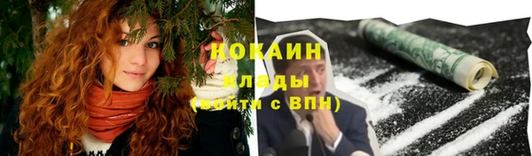 ПСИЛОЦИБИНОВЫЕ ГРИБЫ Горно-Алтайск
