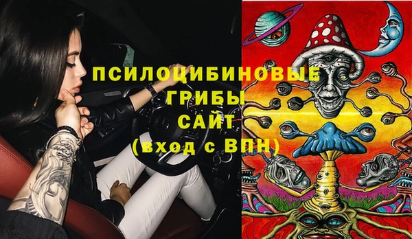 бутират Гусь-Хрустальный