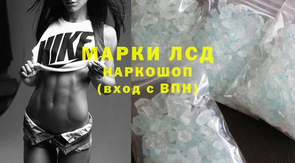 ПСИЛОЦИБИНОВЫЕ ГРИБЫ Горно-Алтайск